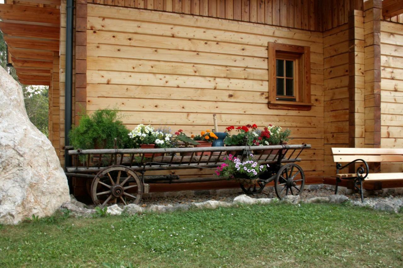 Apartment Pod Skalco Jesenice Exterior photo